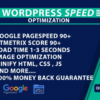 WordPress Speed Optimization | Google PageSpeed insights | GTmetrix